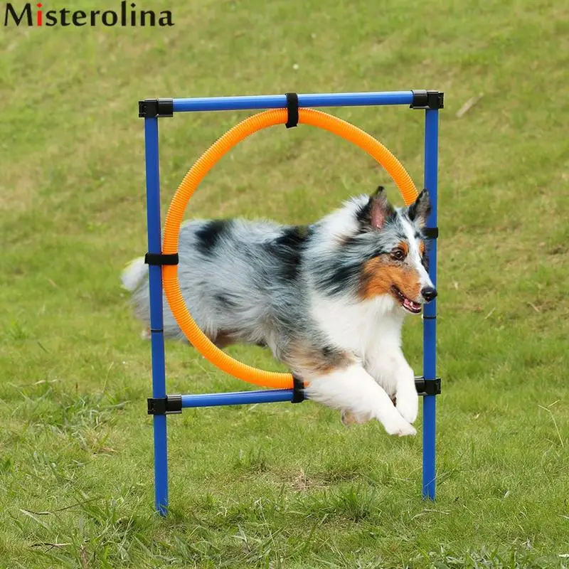Pet Agility Set Dog Training Play Kit Dog Jump Hoop Poles Tunnel