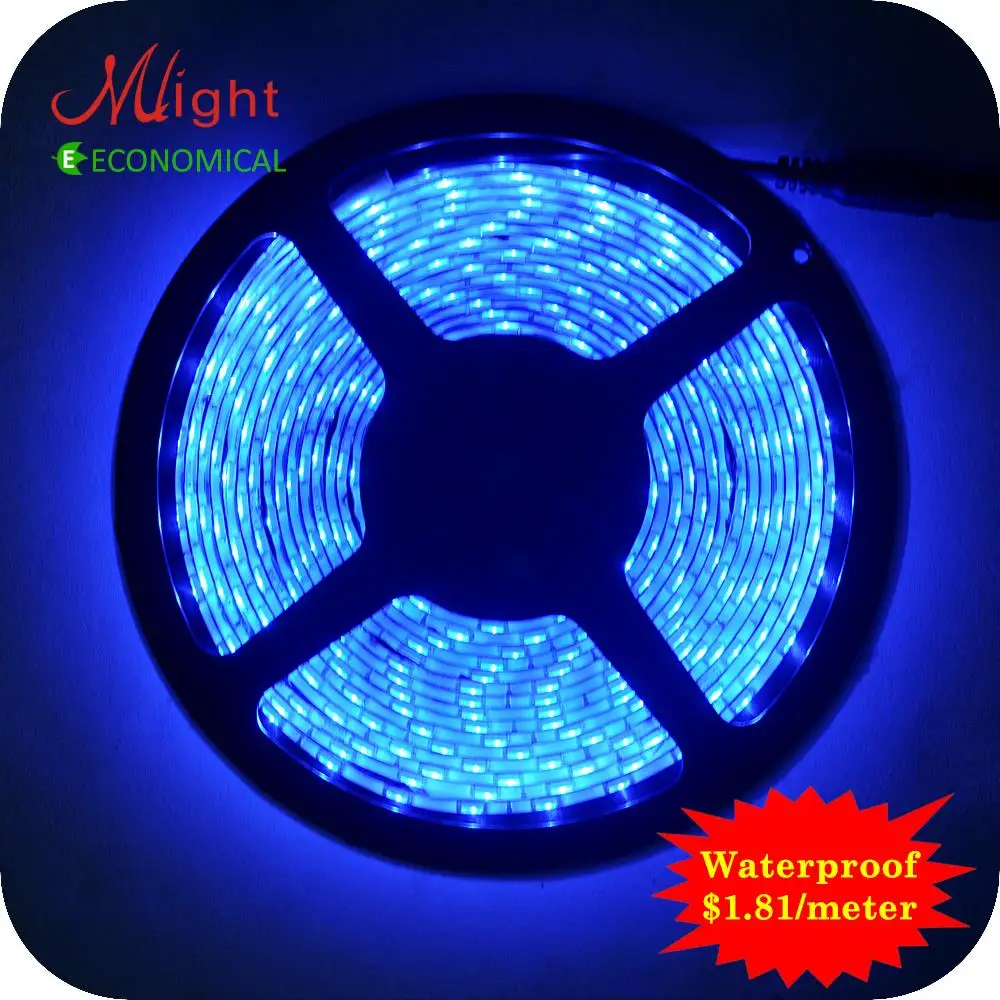 5 meters 12V 5050SMD LED Strip Light Waterproof IP44 Low Power