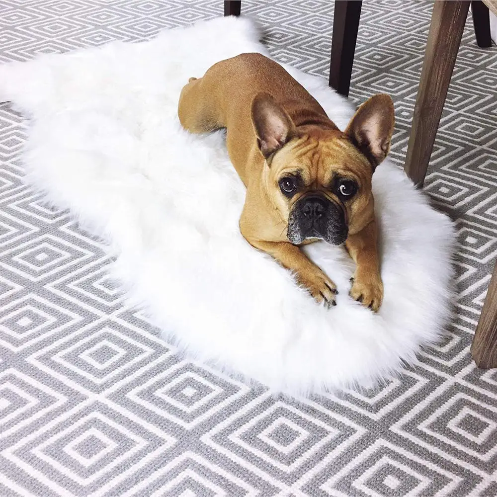 

New Zealand chair cover carpet mat for sofa silky fluffy rugs for home use real sheepskin wool area rug very good gift thick rug