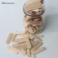 10000 personalisierte Laser Gravieren mini Ice Cream Sticks Flachen Eis Löffel Reis Knusprig Pop Sticks Mini wachs boby spa sticks 4 cm