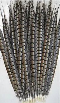 

free shipping 100 pcs/Lot 10-15cm natural lady amherst pheasant tail feather extension centerpieces wedding /carnival/festival