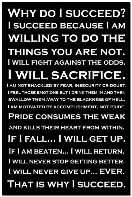 why do i succeed self positive motivational quote education art silk