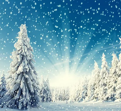 Зимние красивые Рождество дерево фонов винил ткань высокого качества Компьютер Отпечатано Рождество Фоны