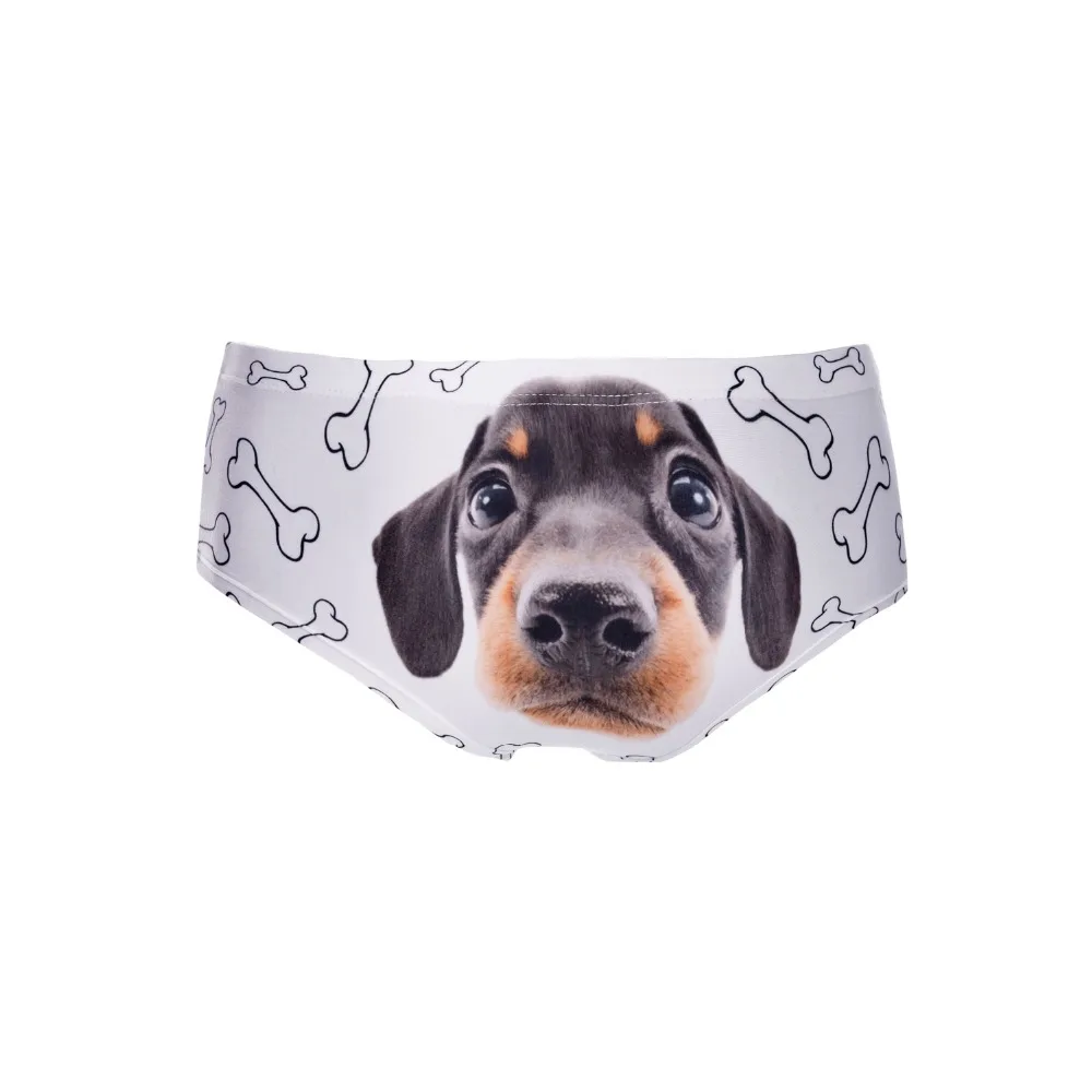 39063 puppy (5)