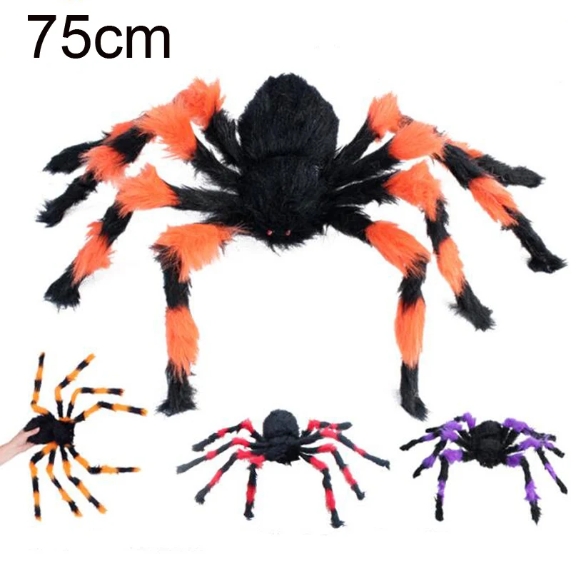 75cm