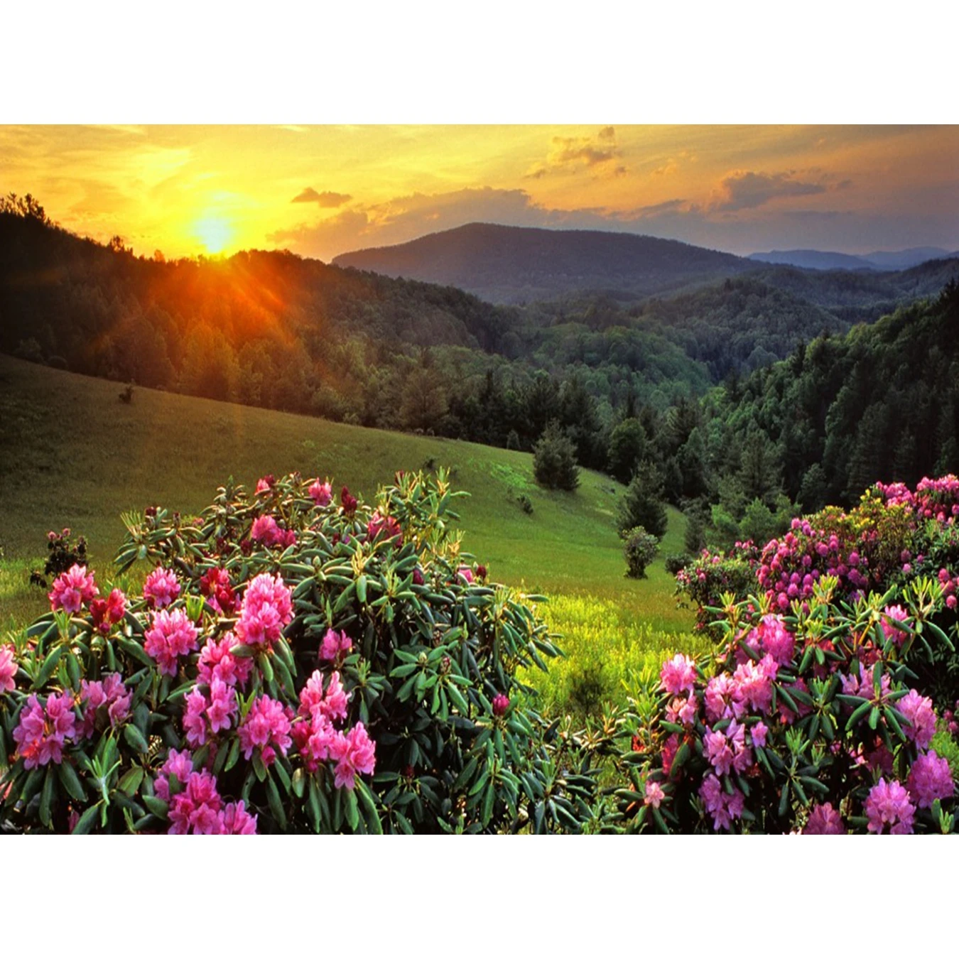 

YTG New Full 5D DIY Mountain Landscape Picture Diamond Painting Needlework Embroidery Round Rhinestone Cross Stitch Rooom Decor