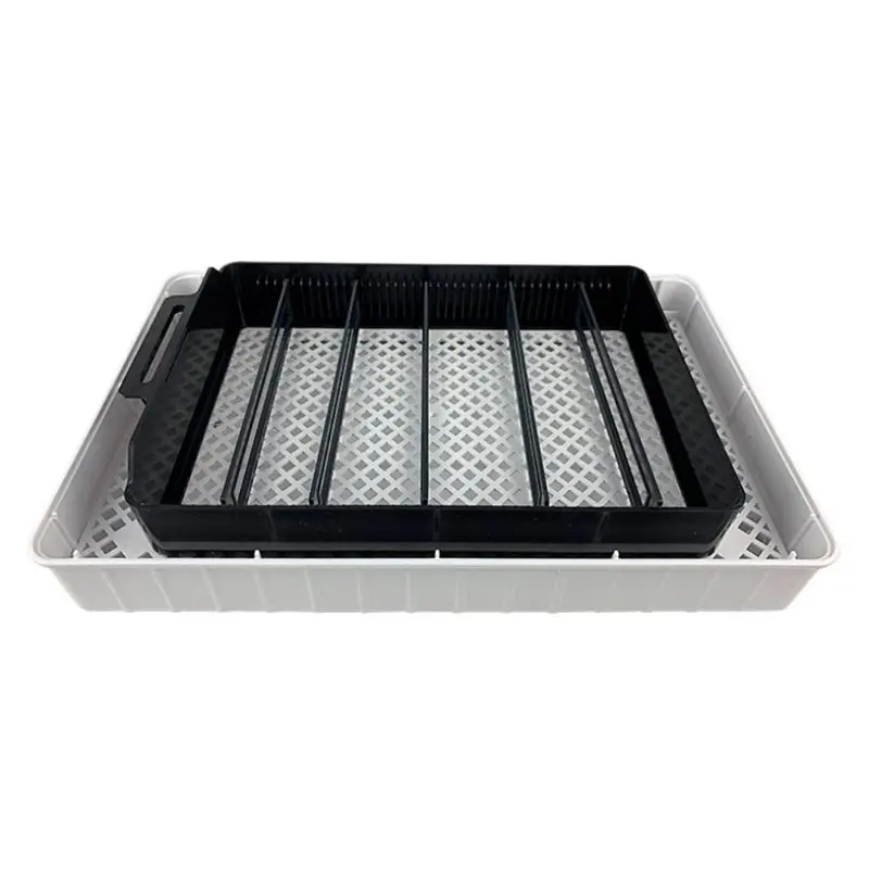 Egg Incubator Farm Hatching Device Machine Agriculture Hatcher 220V Mini Universal Professional LED Supplies EU For Chicken Duck Egg Incubator Farm Hatching Device Machine Agriculture Hatcher 220V Mini Universal Professional LED Supplies EU For Chicken Duck