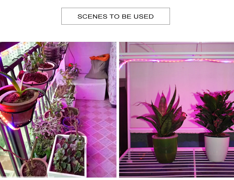 LED Grow Light Strip Tape Set DC12V Phytolamp Touch Switch Fitolamp (16)