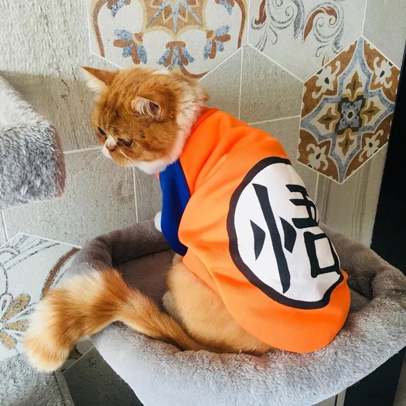 Одежда с мультяшным котом зимний теплый мягкий свитер для кошек одежда маленьких