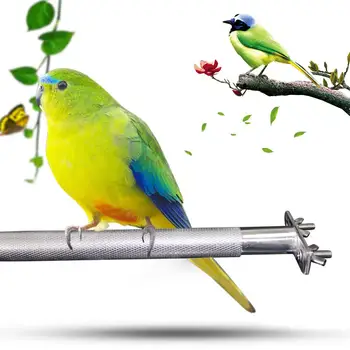 

Stainless Steel Pet Bird Stand Parrot Standing Rod Birdcage Stand Stick Perch Paw Grinding Bite Toys Bird Cage Accessaries 28CM