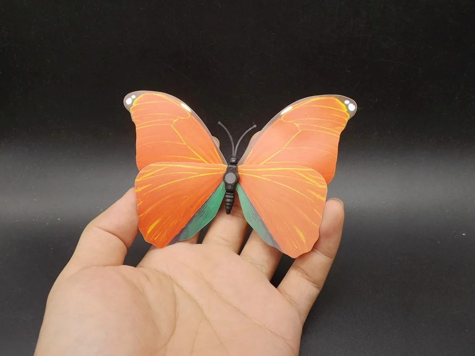 I226-Butterfly (4)