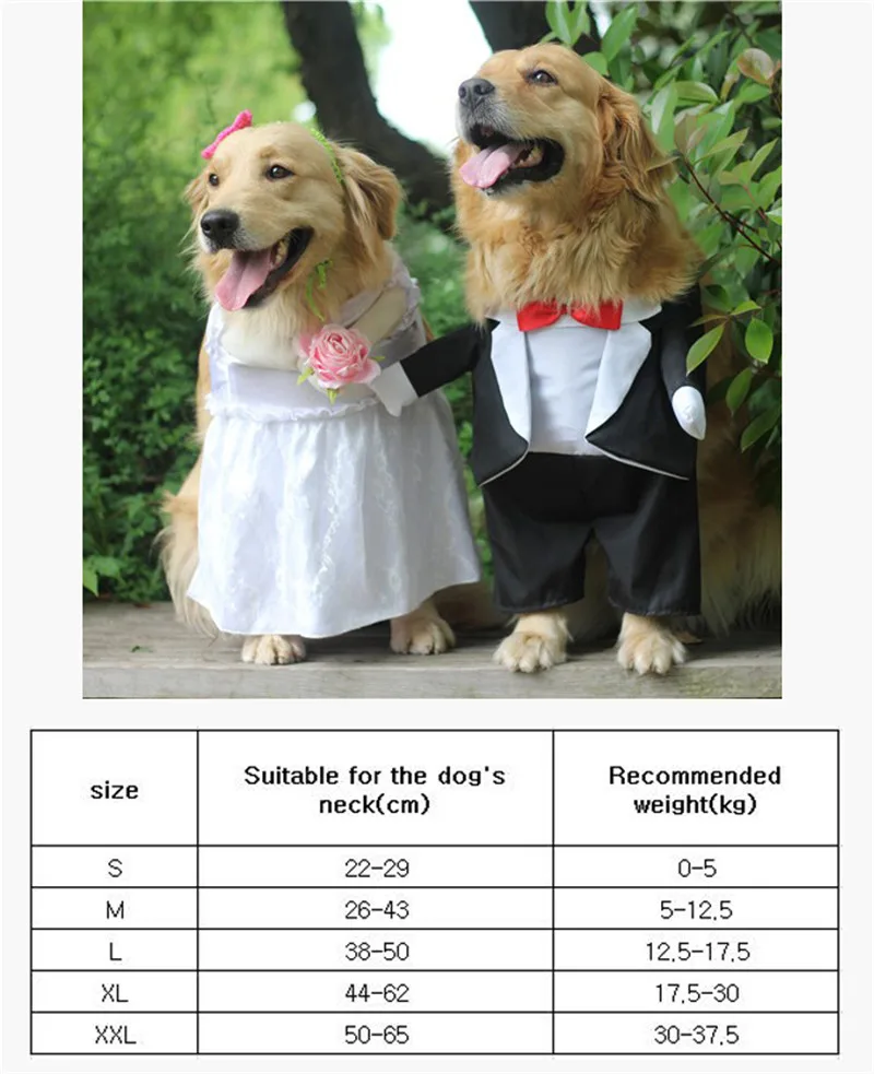 Dog Costume For Wedding Party (7)