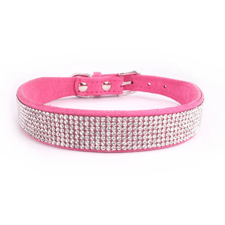 dogs collar (1)