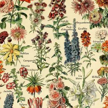 

Cloth Painting Vintage Poster Floral Flowers Botanical Collection Home Display