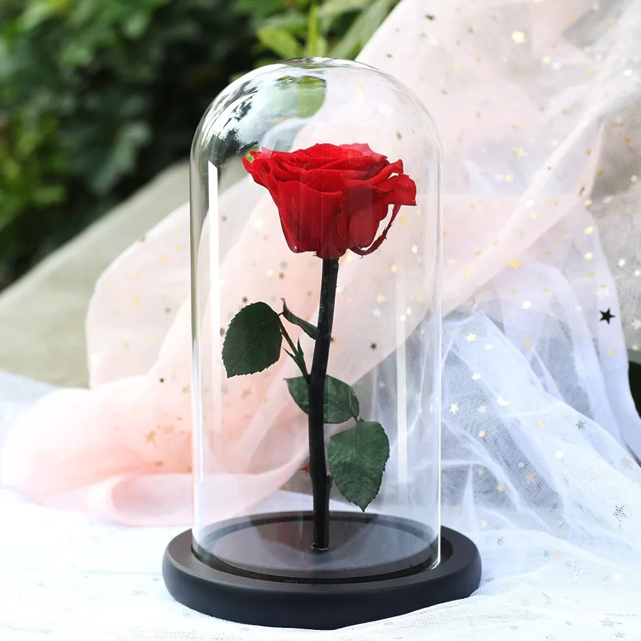 

Beauty and Beast Red Roses in Flask Glass Dome on Wooden Base for Valentines Day Gifts Family Table Decoration Everlasting Flowe
