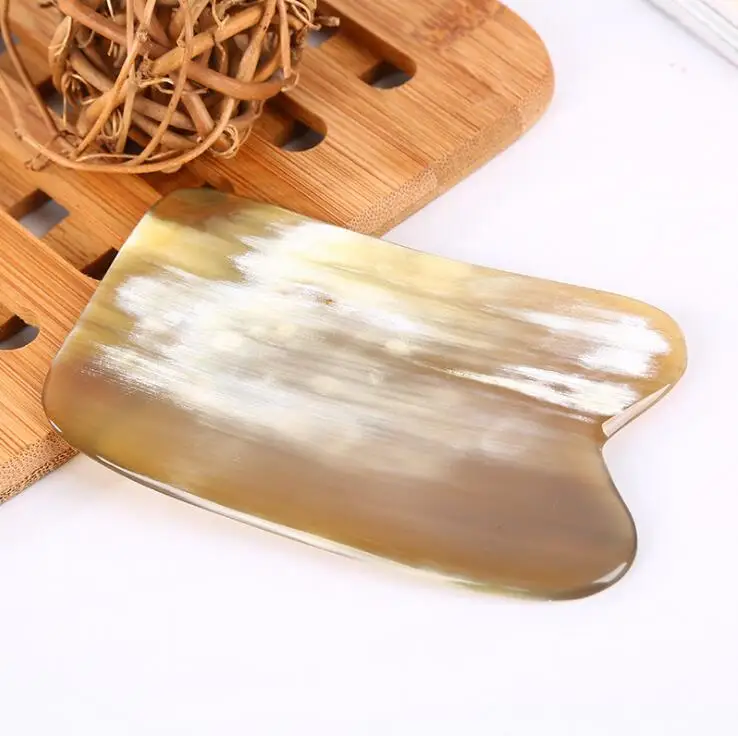 NG02