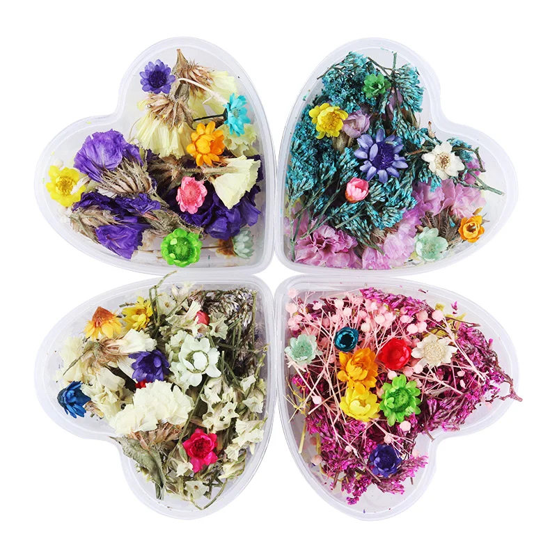  1 Box Nail 3D Decoration DIY Mixed Dried Flowers Lovely Five Petal Flower Nail Stickers for Manicur