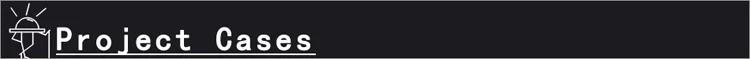 project cases.jpg
