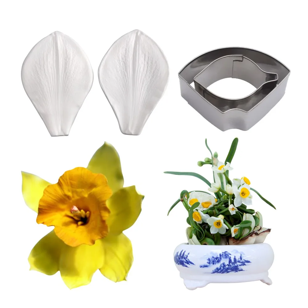 Daffodil-5