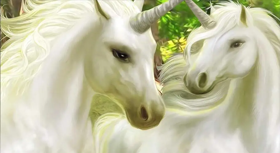 QQ截图20190518144531