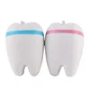 Squish Squishy Rainbow Tooth Slow Rising Cartoon Unicorn Antistress Soft Squeeze Bread Toy Kid Toys  Gift Anti-stress ► Photo 2/6