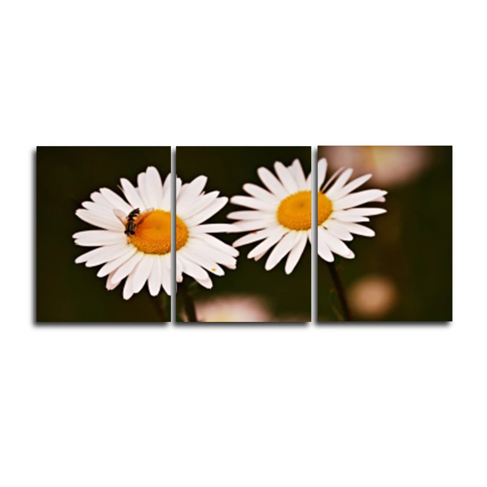 

Laeacco 3 Panel Garden Posters and Prints White Flower Daisy Pictures Wall Artwork Home Living Room Decoration Canvas Paintings