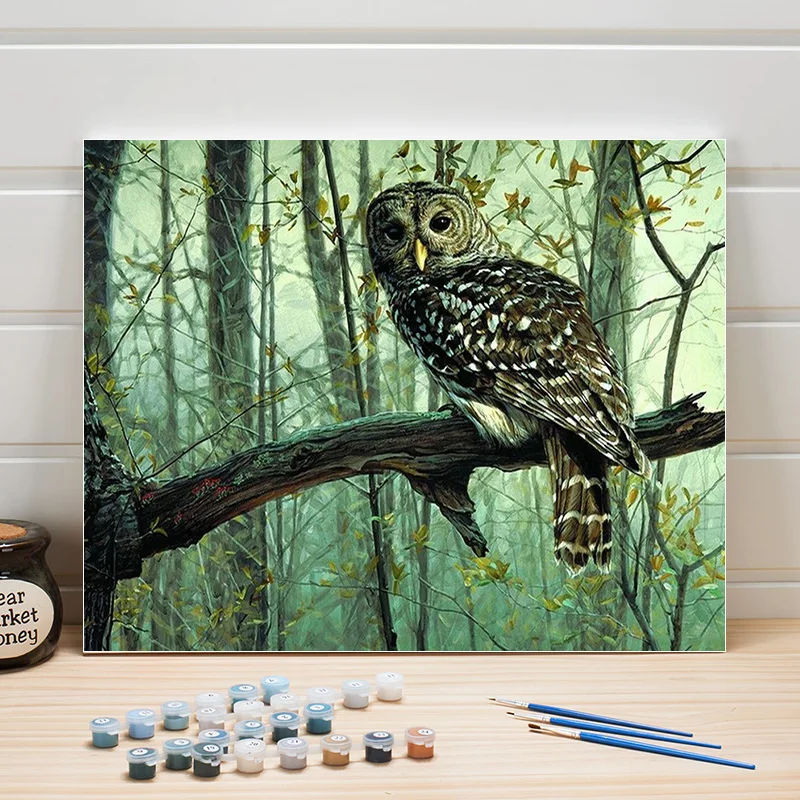 

Oil Painting Paint By Numbers Animal Owl DIY Wall Pictures For Living Room Canvas Acrylic Coloring Art Adults Drawing One Piece