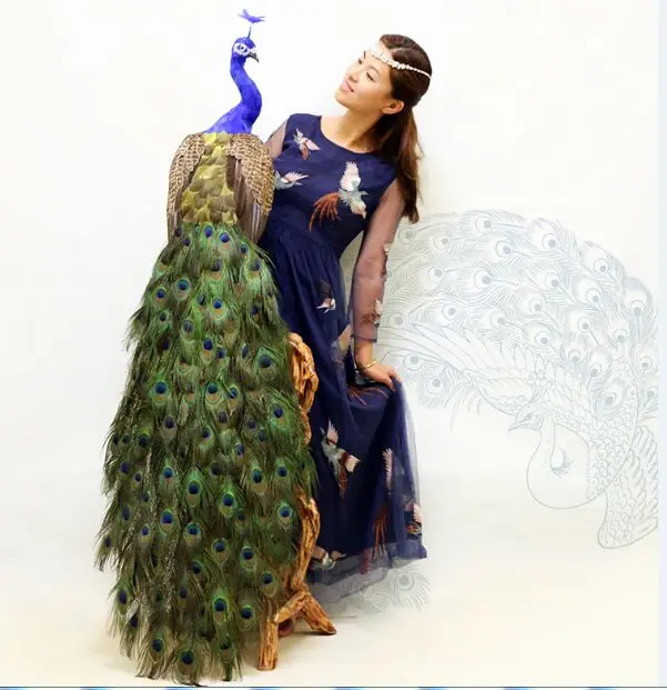 real life toy bird large 150cm beautiful feathers peacock model handicraft home garden Decoration party activity props toy h0996 janevini peacock feather clutch rectangle crystal pearl crossbody bag gold royal blue evening bags women party handbags