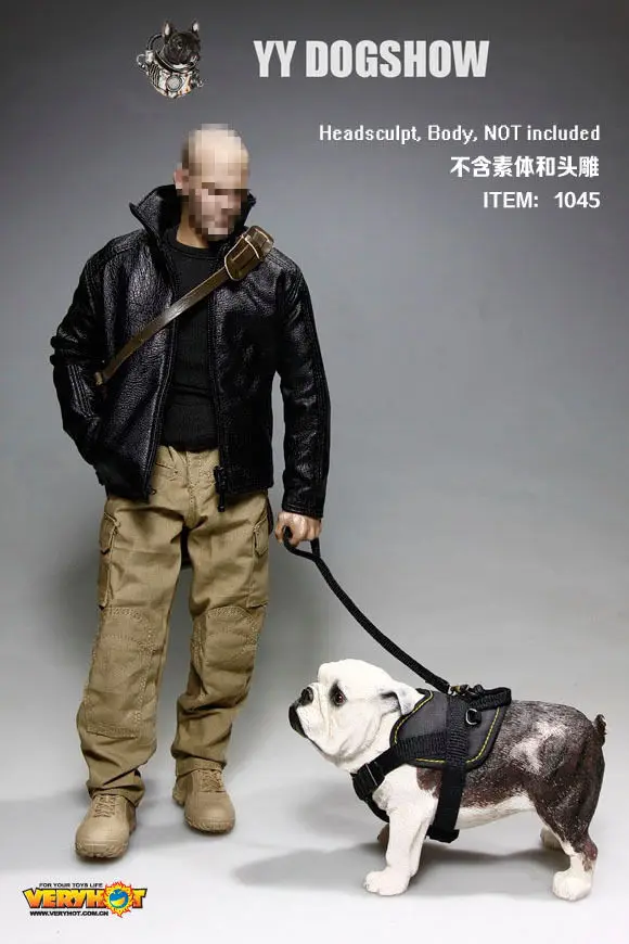 

VERY HOT YY DOGSHOW Set 1/6 IN STOCK(NO HEAD AND BODY)