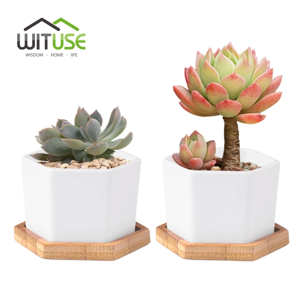 

New 2pcs/set Decorative Geometry Hexagon White Ceramic Succulent Plant Pot Porcelain Flower Pot Zakka Home Decor+ 2 trays