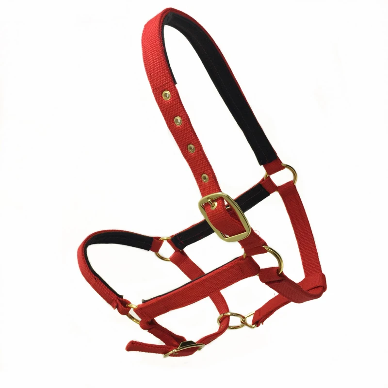 Outdoor headstall ركوب الخيل سباق نسج أحزمة اللجام تعديل حجم m/l الرسن التزويد بحصان أدوات معدات paardensport Outdoor headstall ركوب الخيل سباق نسج أحزمة اللجام تعديل حجم m/l الرسن التزويد بحصان أدوات معدات paardensport