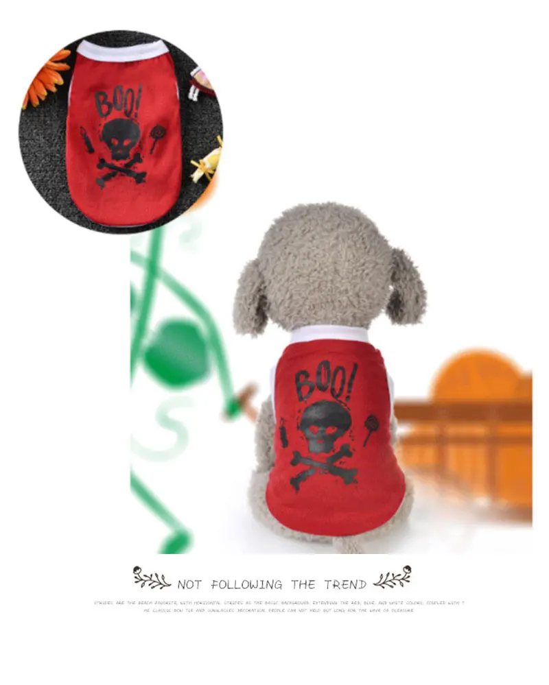 dog jackets outdoor