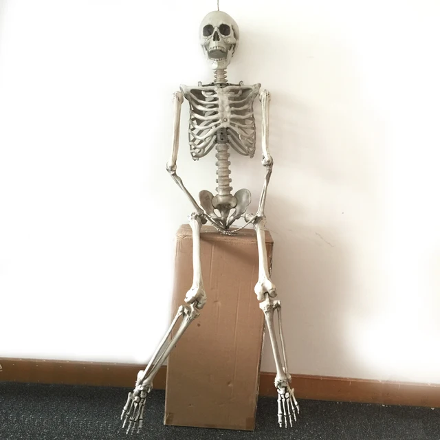 165cm pose n stay skeleton halloween decoration plastic human skeleton - Skeleton Halloween Decoration 165cm pose n stay skeleton halloween decoration plastic human skeleton - Skeleton Halloween Decoration