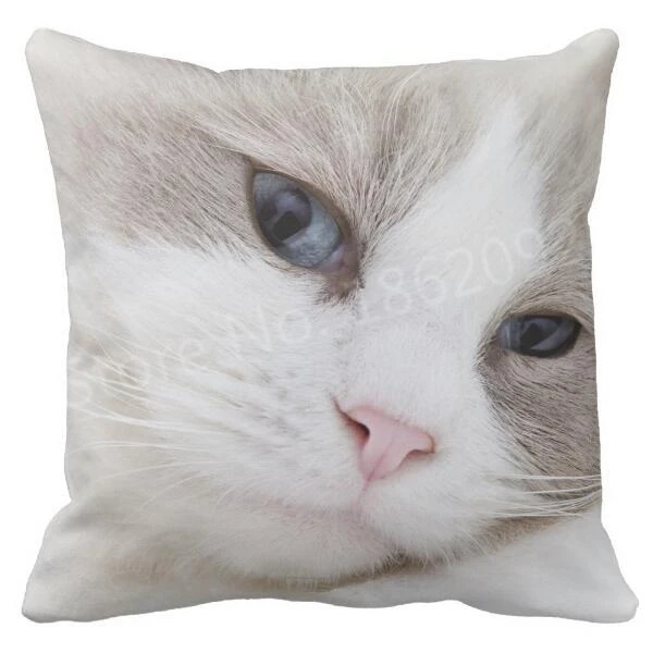 Cute Ragdoll Cat Face Cushion Cover 16x16 inch 40cm Blue Eyes Photo Print Cream