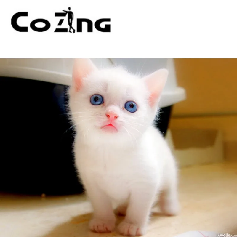 

COZING semiconductor multi-function laser CE certified animal special type