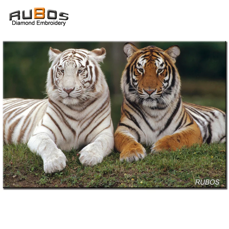RUBOS two tiger on grass lawn 5D DIY picture of rhinestone diamond embroidery diamond painting diamond needlework for craft gift (1)