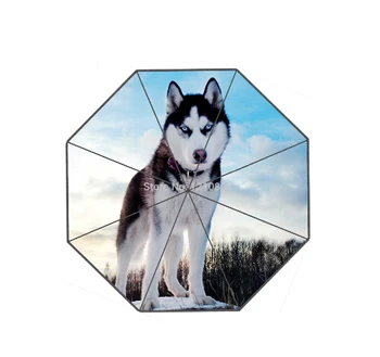 

Fashion Design Umbrella Custom Husky Cool Dog Umbrella For Man And Women Drop Shipping Hot Sale UMN-424