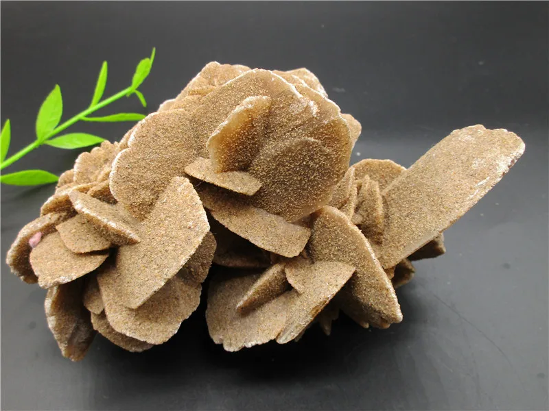 100 Natural Desert Rose Selenite Healing Crystal Stone Minerals