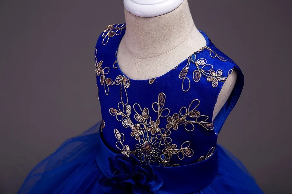 Yeedison Embroidery Kids Wedding Party Dresses For Girls 2018 Flower Princesse Dress Sleeveless Children Costume Girls Prom Gown (8)