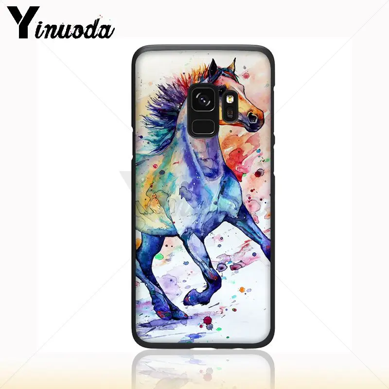 horse animal