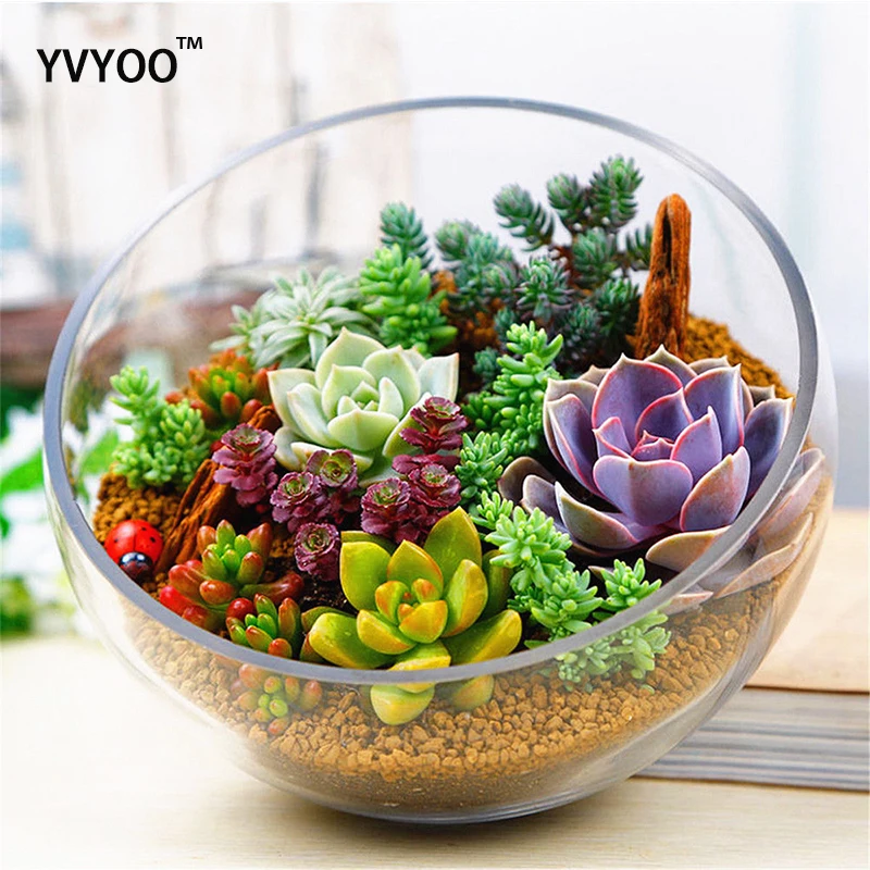 plants office desk promotion-shop for promotional plants office plants office desk promotion-shop for promotional plants office
