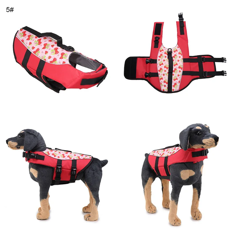 dog swimsuit (5)
