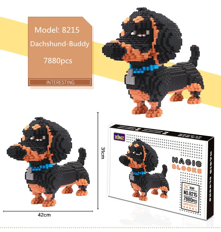 pet dog Dachshund