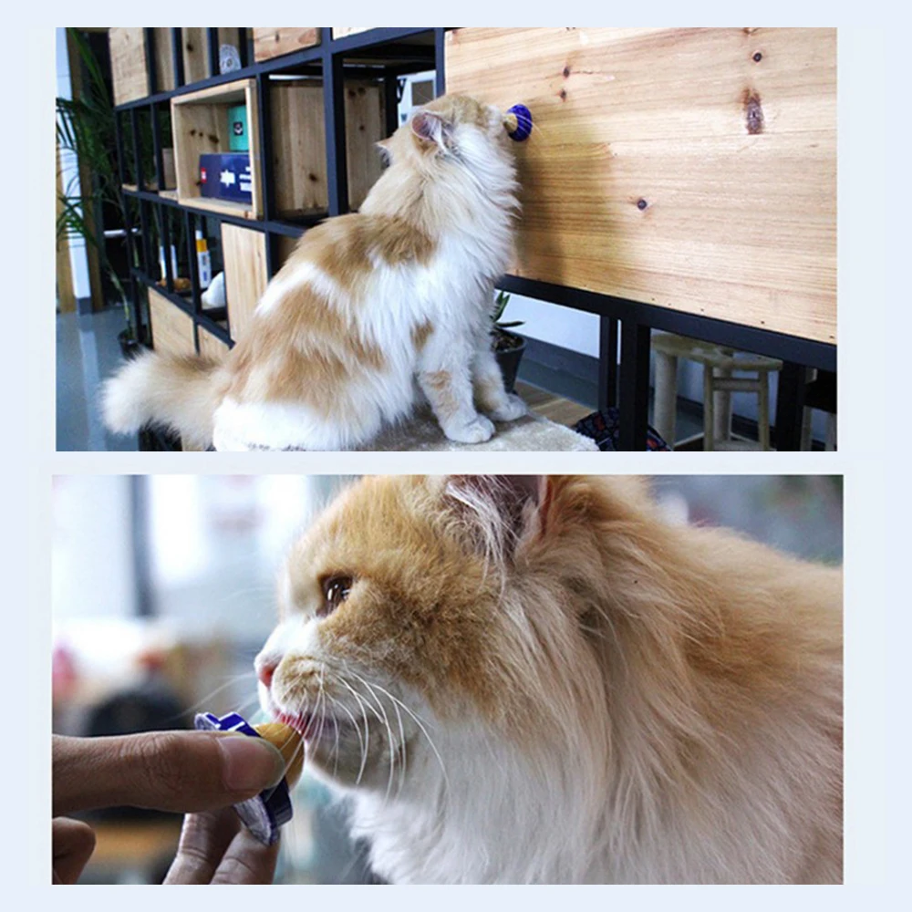 Healthy Cat Snacks Catnip Sugar Candy Licking Solid Nutrition Gel Energy Ball for Kitten Cats Pet Healthy Food Help Digestion