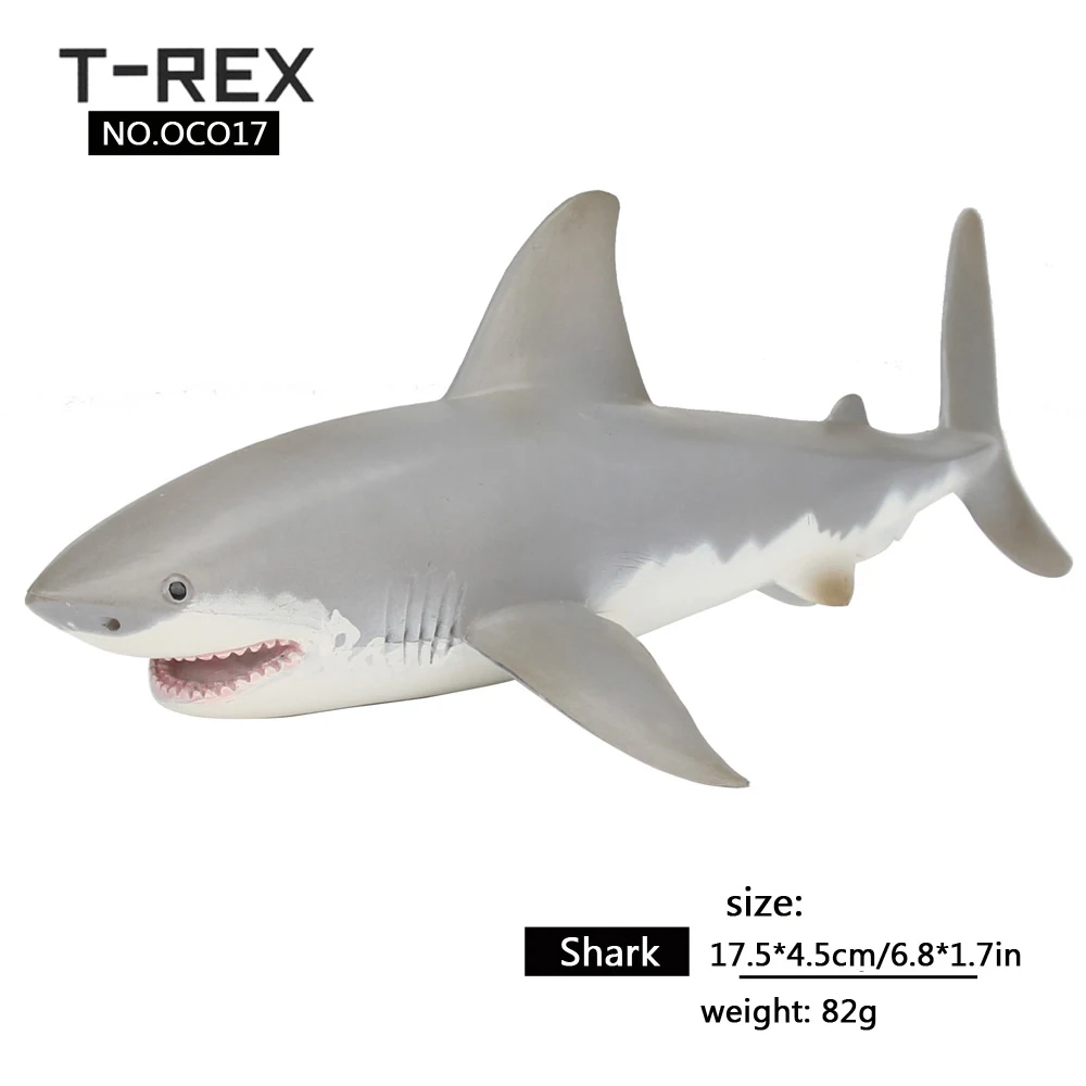 shark