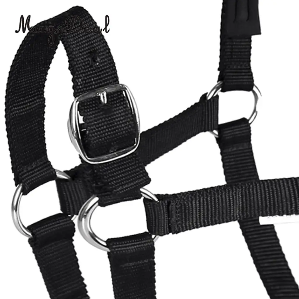 Adjustable Equestrian Western Horse Halter Fits 130cm - 165cm Horse Black/Blue/Red