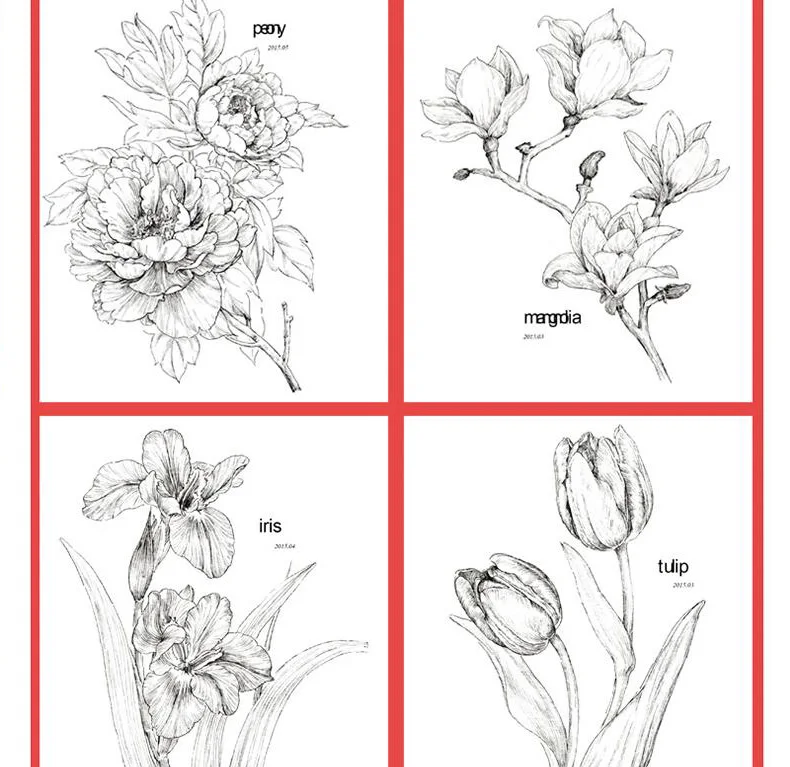 Lukisan Bunga Buku Mewarnai Baris Sketsa Menggambar Buku Kuno Cina