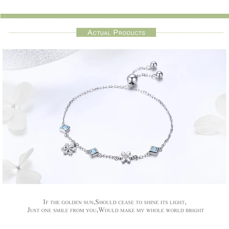 BSB001+BSE009+BSR015_06