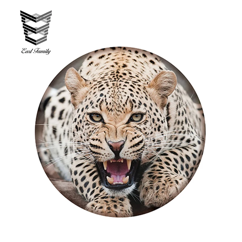 

EARLFAMILY 12cm x 12cm Cheetah Circle Sticker Funny Body Window Car Stickers Vinyl Decals Car Styling Accessories