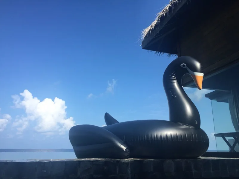 Black golden color swimming tube pool vison water float inflatable party toys air huge inflatable sea 190cm swan Beach (2)